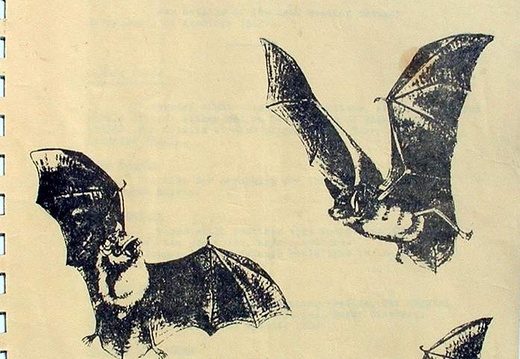 01 Jan - Feb Front Cover